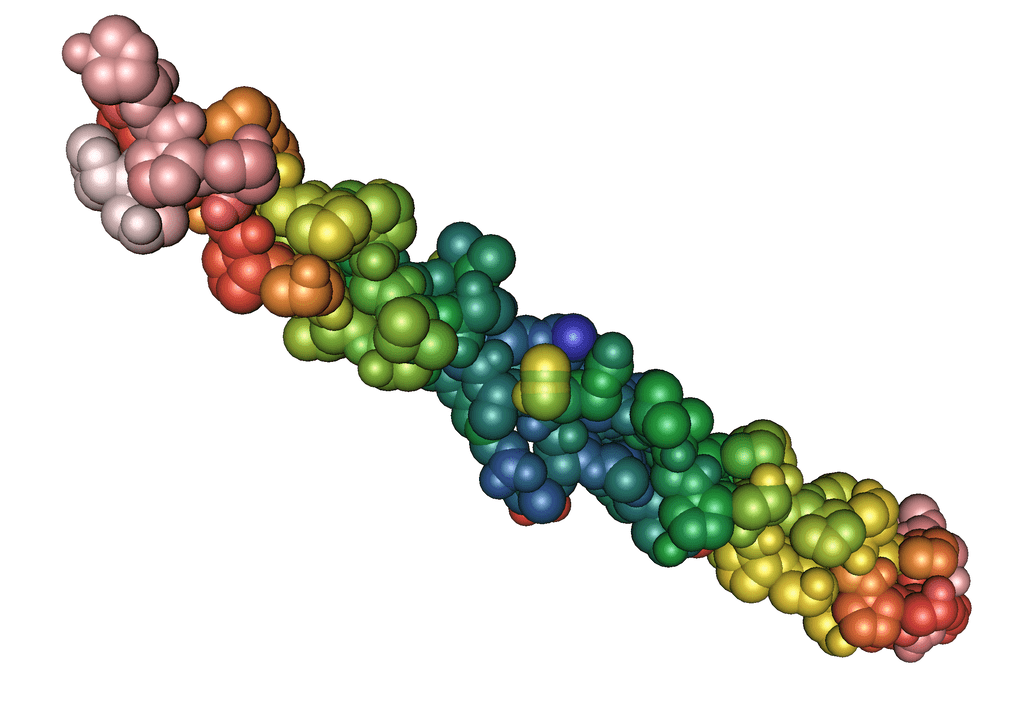 Elastin Protein am Pulsero Gel Gel